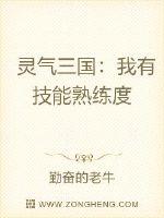 靈氣三國：我有技能熟練度