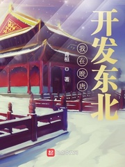 我在晚唐開發東北