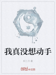 我真沒想動手