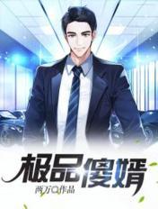 極品傻婿