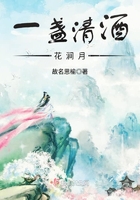 一盞清酒花澗月