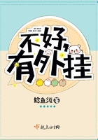 不好，有外掛！