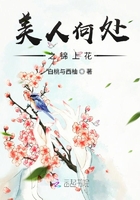 美人何處之錦上花