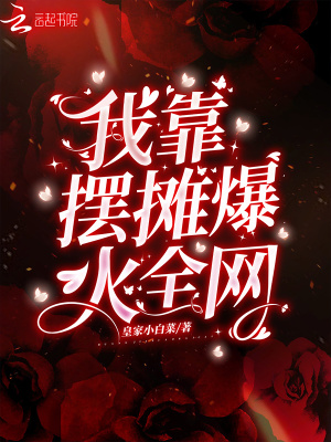 我靠擺攤爆火全網