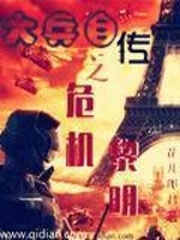 大兵自傳之危機黎明