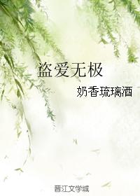 盜愛無極
