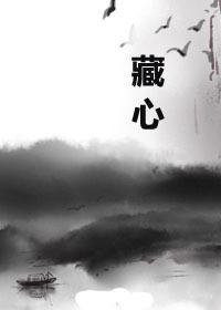 藏心