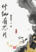 修仙有晶片