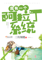 我有一個阿拉丁系統