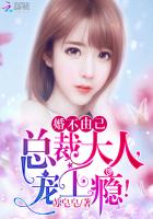 婚不由己：總裁大人，寵上癮！