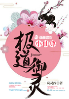 極道御靈小仙尊