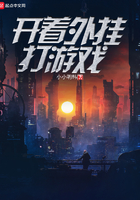 開著外掛打遊戲