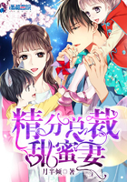 精分總裁甜蜜妻