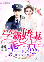 逃婚101天：學霸嬌妻，乖一點