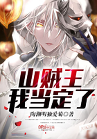 山賊王我當定了