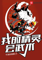 我的精靈會武術