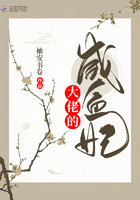 大佬的鹹魚妃