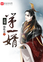貞觀第一婿