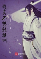 我真不想轉換啊