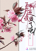 王爺你家人設毀了吧