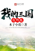我的三國有些亂