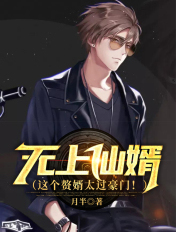 無上仙婿（這個贅婿太過豪門！）