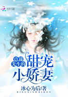 總裁先生的甜寵小嬌妻