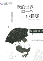 我的世界缺一個小貓咪