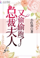 總裁夫人又偷偷跑了