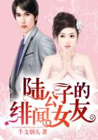 陸公子的緋聞女友