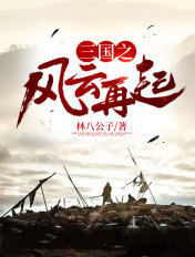 三國之風雲再起