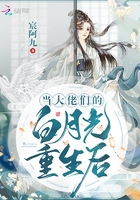 當大佬們的白月光重生後