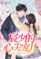宸少的心尖寵兒
