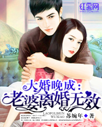 大婚晚成：老婆離婚無效