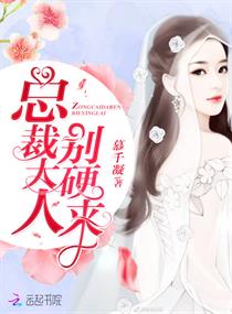 總裁大人，別硬來