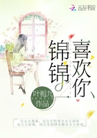 錦錦喜歡你