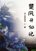 楚風昇仙記