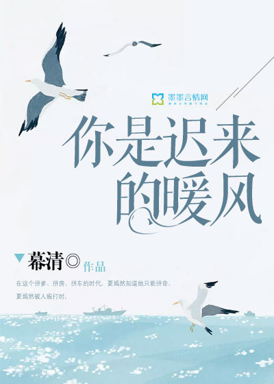 你是遲來的暖風
