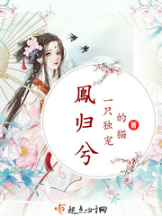 鳯歸兮