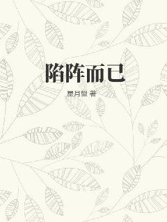 陷陣而已