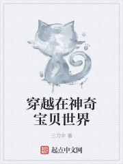 穿越在神奇寶貝世界
