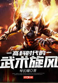 高科時代的武術旋風